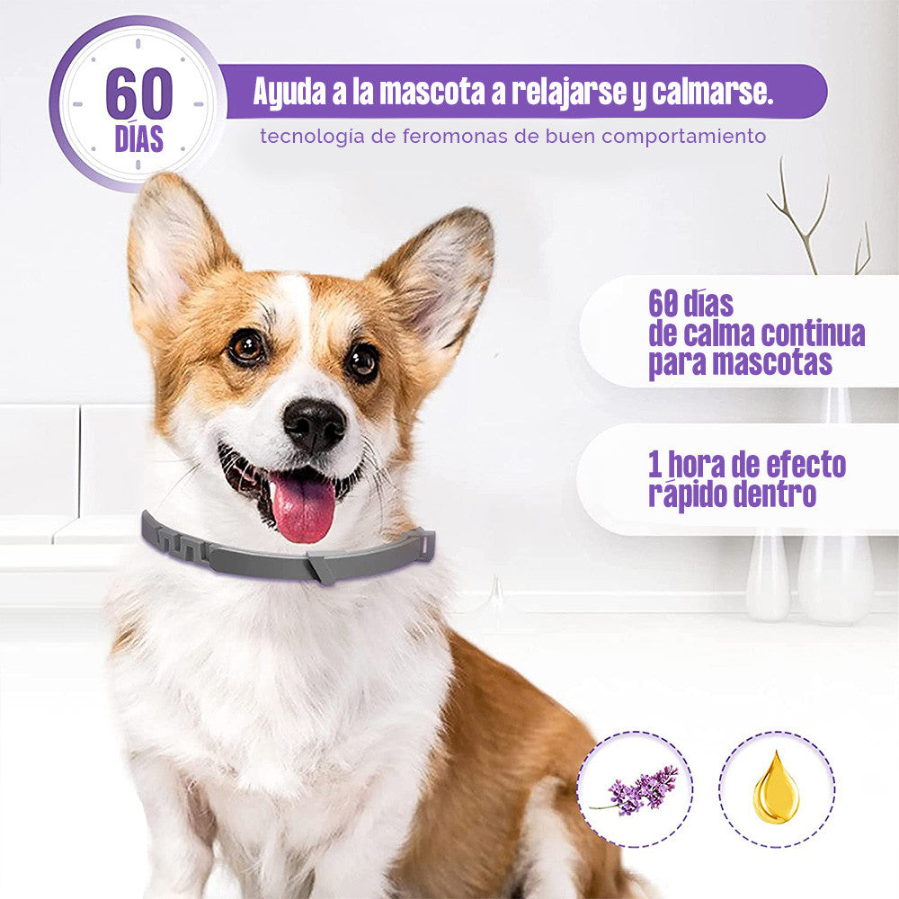 Collar Relajante Para  Perros Feromonas